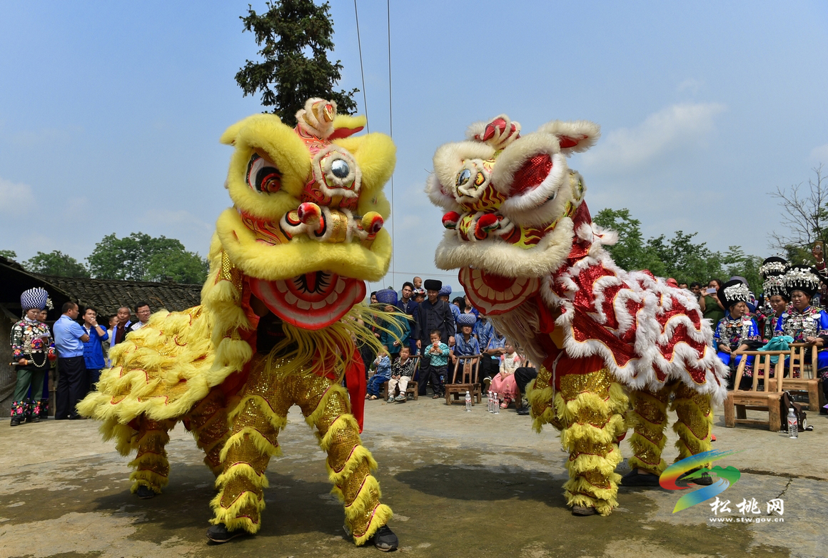 干塘社區(qū)舉行苗族接龍活動(dòng)