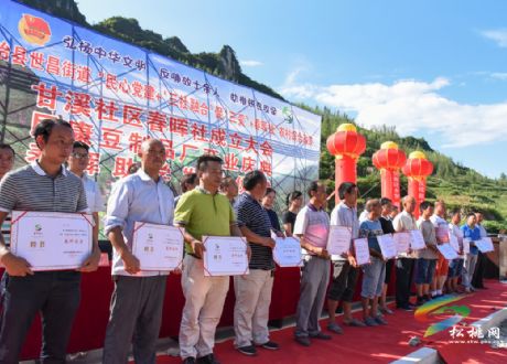 甘溪社區(qū)開展“春暉社+民康豆制品廠+春暉助學(xué)”活動(dòng)