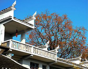 首屆松桃攝影藝術(shù)作品展【九】