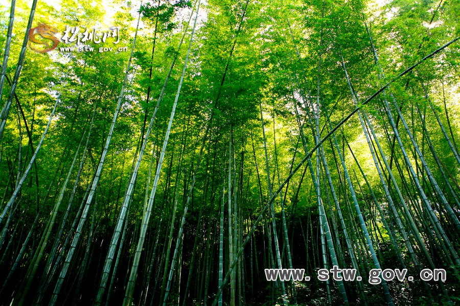 何天才攝影欣賞：自然風(fēng)光（二）