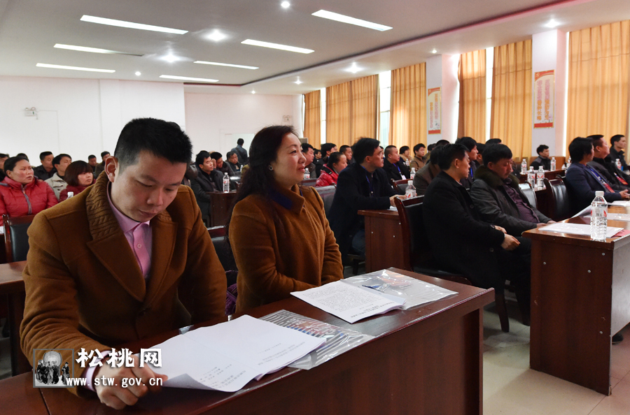 孟溪商會成立暨新春茶燈藝術(shù)表演活動