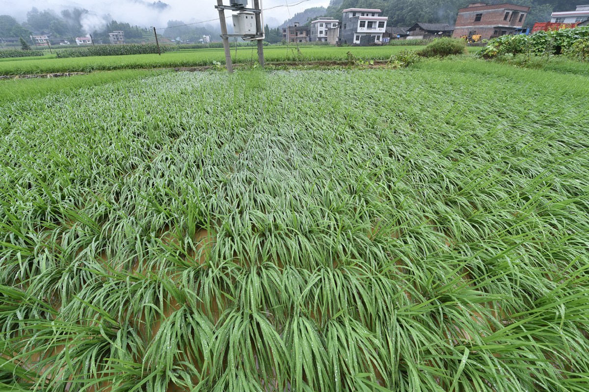 松桃安山遭遇百年不遇洪災(zāi)襲擊　場(chǎng)景觸目驚心