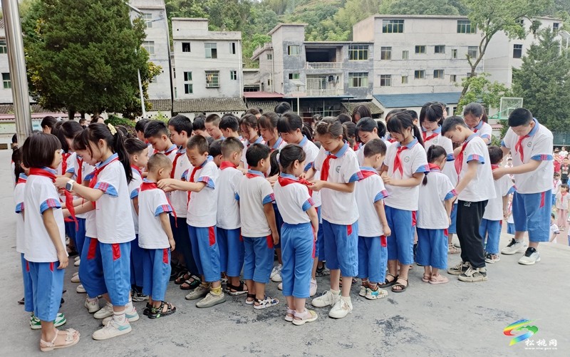 妙隘鄉(xiāng)完小舉行少先隊新隊員入隊宣誓儀式