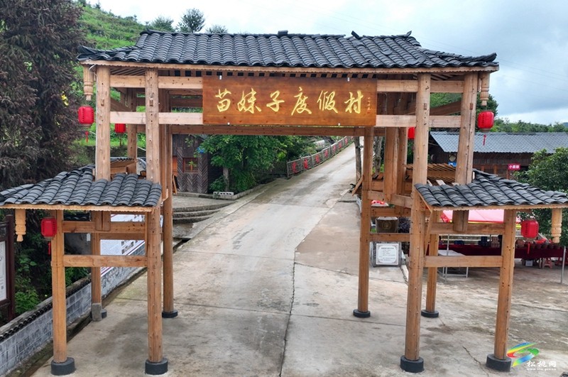 黃板鎮(zhèn)：藍莓采摘正當時酸酸甜甜你做主