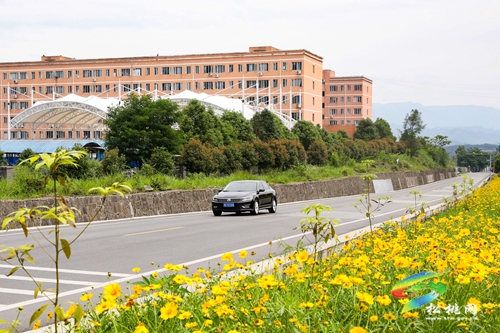 多彩貴州·最美公路 | 暢安舒美 花開四季 ——松桃公路管理段“暢安舒美”樣板路創(chuàng)建成效顯著
