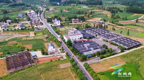 多彩貴州·最美公路 | 暢安舒美 花開四季 ——松桃公路管理段“暢安舒美”樣板路創(chuàng)建成效顯著