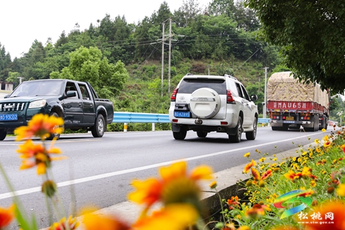 多彩貴州·最美公路 | 暢安舒美 花開四季 ——松桃公路管理段“暢安舒美”樣板路創(chuàng)建成效顯著