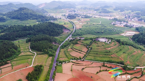 多彩貴州·最美公路 | 暢安舒美 花開四季 ——松桃公路管理段“暢安舒美”樣板路創(chuàng)建成效顯著