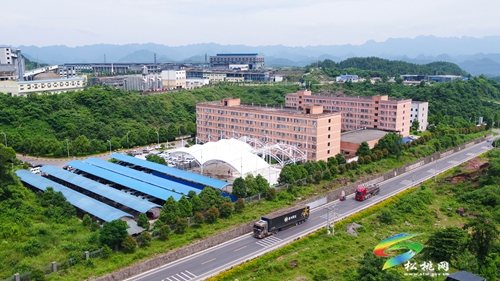 多彩貴州·最美公路 | 暢安舒美 花開四季 ——松桃公路管理段“暢安舒美”樣板路創(chuàng)建成效顯著