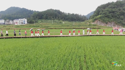 “中國(guó)苗族情人節(jié)六月六” 活動(dòng)緊鑼密鼓彩排中