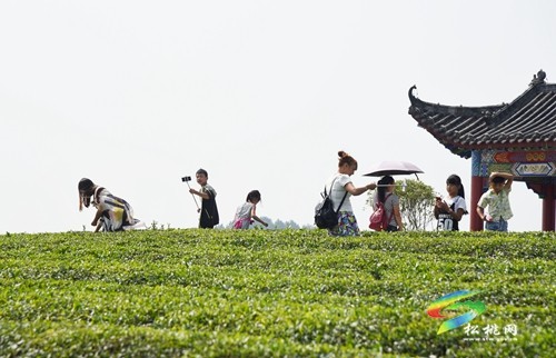松桃：多點(diǎn)發(fā)力激活全域旅游