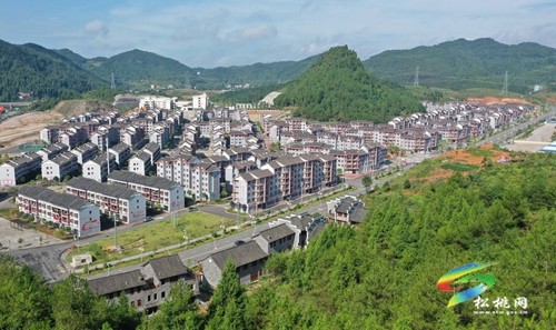楊文毛：殘疾“新農(nóng)人” 逐夢山水間