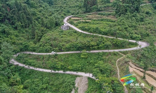 楊文毛：殘疾“新農(nóng)人” 逐夢山水間