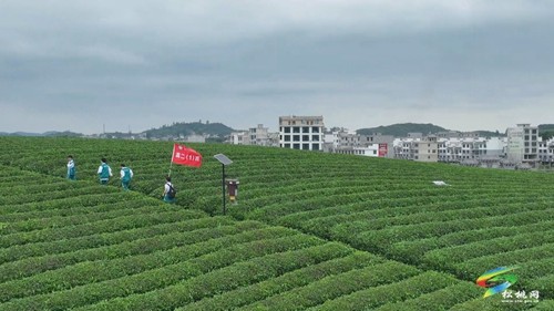 研學(xué)縱覽民族風(fēng)情體悟傳統(tǒng)文化
