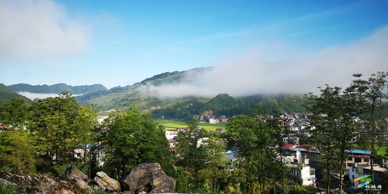 去友杠村，聽花開的聲音