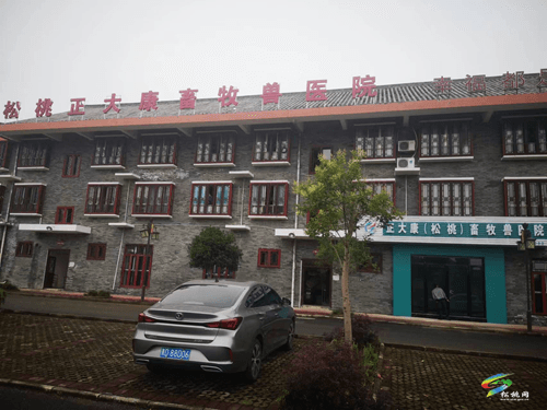 縣畜牧中心:積極推進動物防疫社會化服務