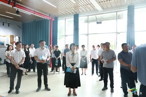 全市干部人才“組團式”幫扶工作觀摩組來松觀摩調(diào)研