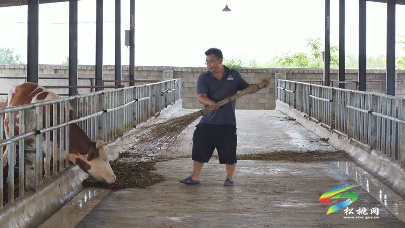 松桃：多措并舉打好養(yǎng)殖糞污治理“組合拳”