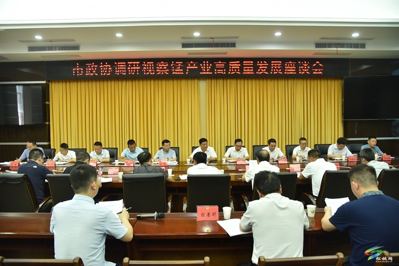 市政協(xié)來(lái)松調(diào)研視察錳產(chǎn)業(yè)高質(zhì)量發(fā)展工作