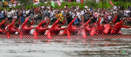 松桃：百舸爭流 “鬧”松江