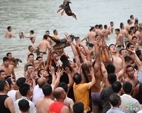 松桃：百舸爭流 “鬧”松江