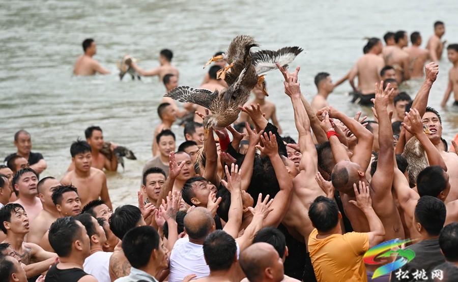 珠江“水手”秀松江