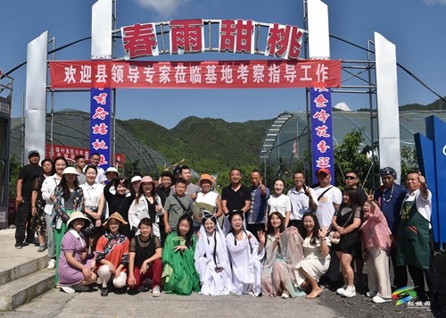 松桃：果園桃飄香 直播助農(nóng)忙