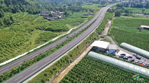 松桃：果園桃飄香 直播助農(nóng)忙