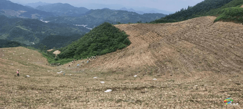 突出“組團(tuán)式”幫扶，助推產(chǎn)業(yè)高質(zhì)量發(fā)展