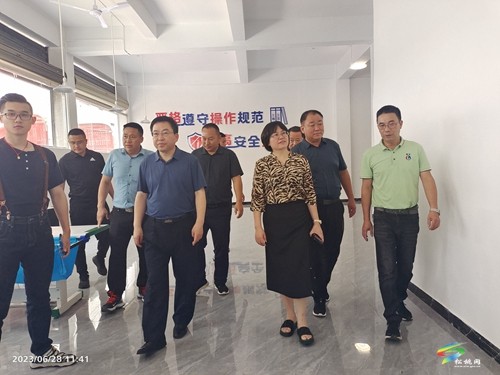 東莞嘉銘手袋等6家玩具企業(yè)考察團(tuán)來松考察