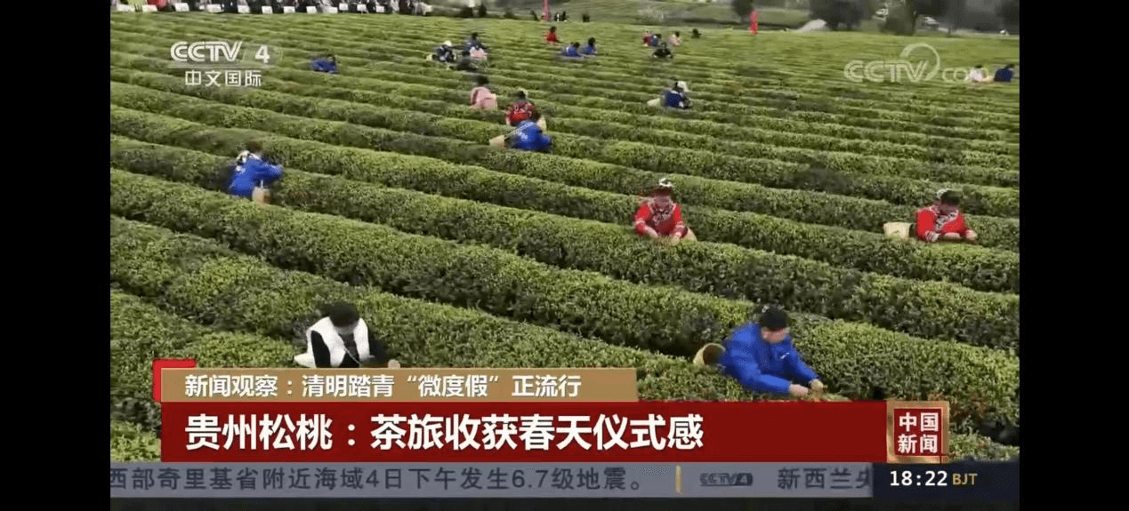 【外媒看松桃】松桃2023上半年外宣成績單來啦！