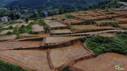 松桃：全力推進(jìn)武陵山區(qū)山水林田湖草沙一體化保護(hù)和修復(fù)工程