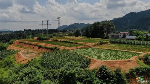 松桃：全力推進(jìn)武陵山區(qū)山水林田湖草沙一體化保護(hù)和修復(fù)工程