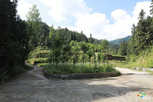 松桃：全力推進(jìn)武陵山區(qū)山水林田湖草沙一體化保護(hù)和修復(fù)工程