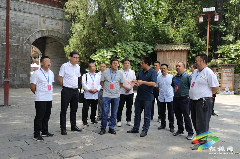 縣人大常委會(huì)開展全縣文化旅游產(chǎn)業(yè)化推進(jìn)情況視察