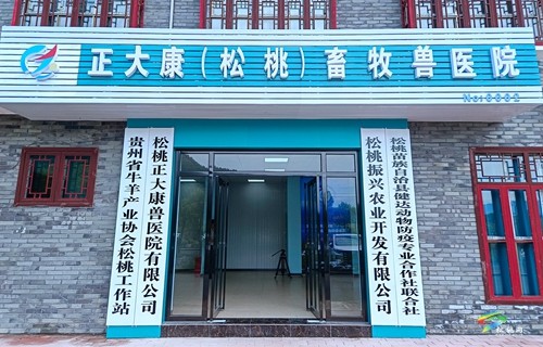 松桃：獸醫(yī)院送診下鄉(xiāng)，服務社會化助力鄉(xiāng)村振興