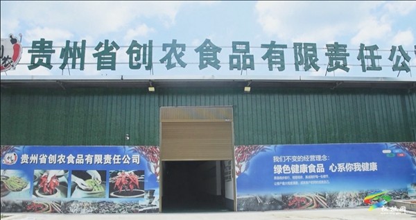 松桃：千畝美人椒  “美”出致富新門(mén)路