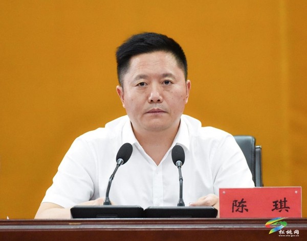 全縣平安建設(shè)工作推進(jìn)會(huì)召開