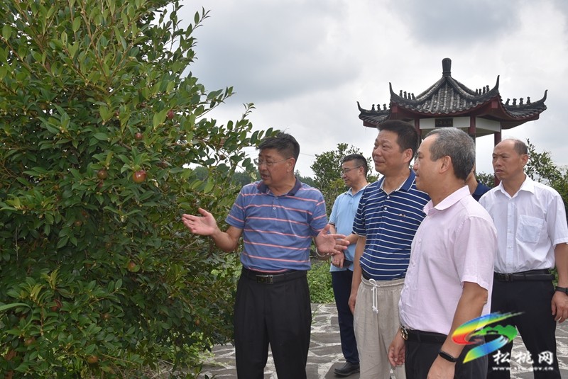 國(guó)家科技特派團(tuán)下鄉(xiāng)送技術(shù) 助力鄉(xiāng)村產(chǎn)業(yè)振興