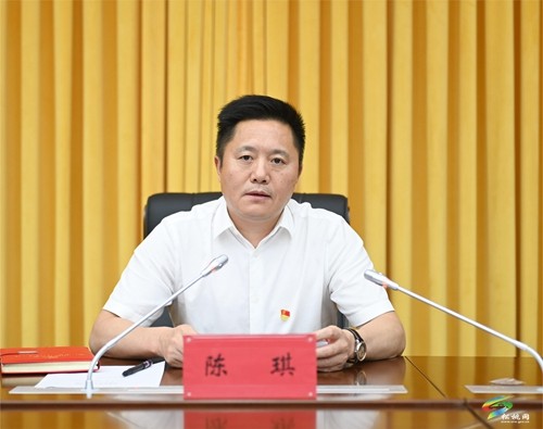 縣委書記陳琪上黨課