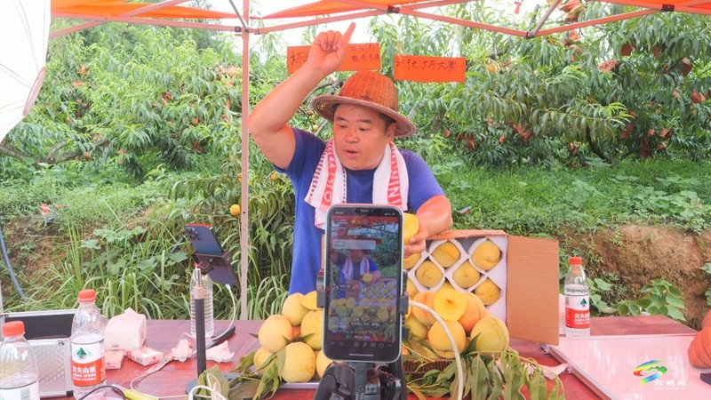 松桃:網(wǎng)絡(luò)大“V”直播帶貨 助力“松貨”出山