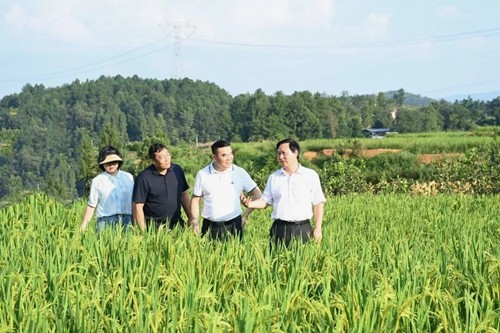 穆嶸坤到松桃苗族自治縣調(diào)研