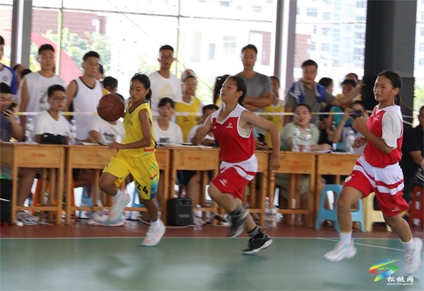 捷報(bào)頻傳！截至8月11日我縣代表團(tuán)在銅仁市第四屆運(yùn)動(dòng)會(huì)上共斬獲25金25銀20銅
