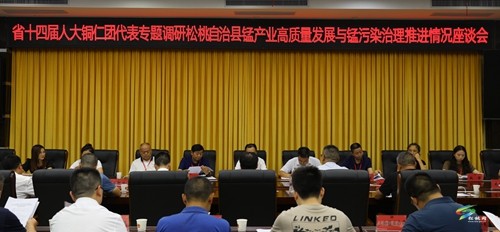 省十四屆人大銅仁團(tuán)代表到松桃調(diào)研錳產(chǎn)業(yè)高質(zhì)量發(fā)展與錳污染治理推進(jìn)情況