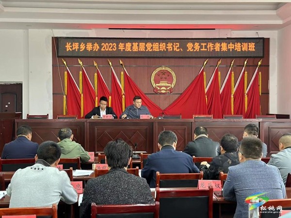 長(zhǎng)坪鄉(xiāng):念好“六字訣”提升黨建工作質(zhì)量