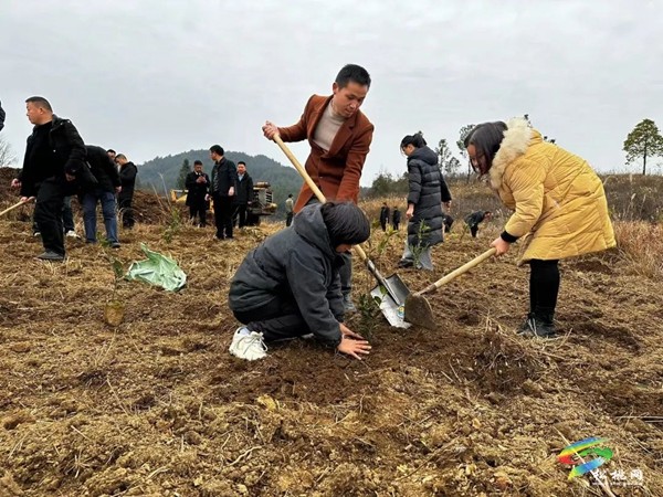 長(zhǎng)坪鄉(xiāng):念好“六字訣”提升黨建工作質(zhì)量