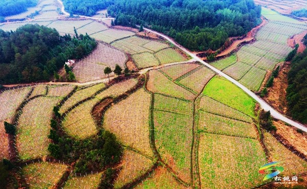 長(zhǎng)坪鄉(xiāng):念好“六字訣”提升黨建工作質(zhì)量