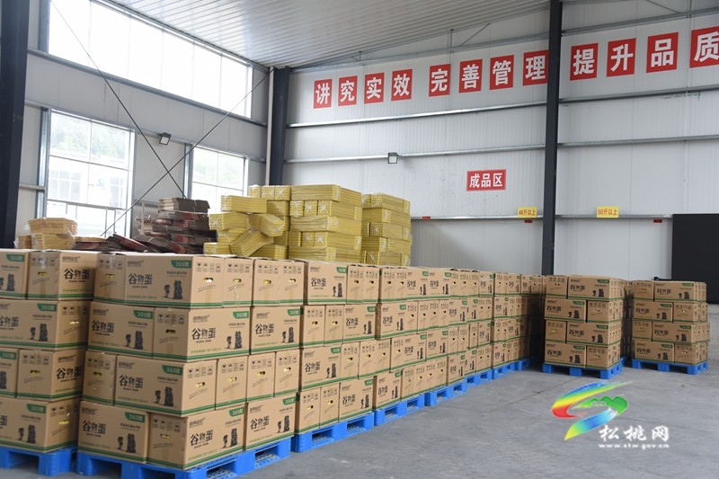 松桃：桃源土特產(chǎn)公司第1億枚雞蛋銷售至粵港澳地區(qū)