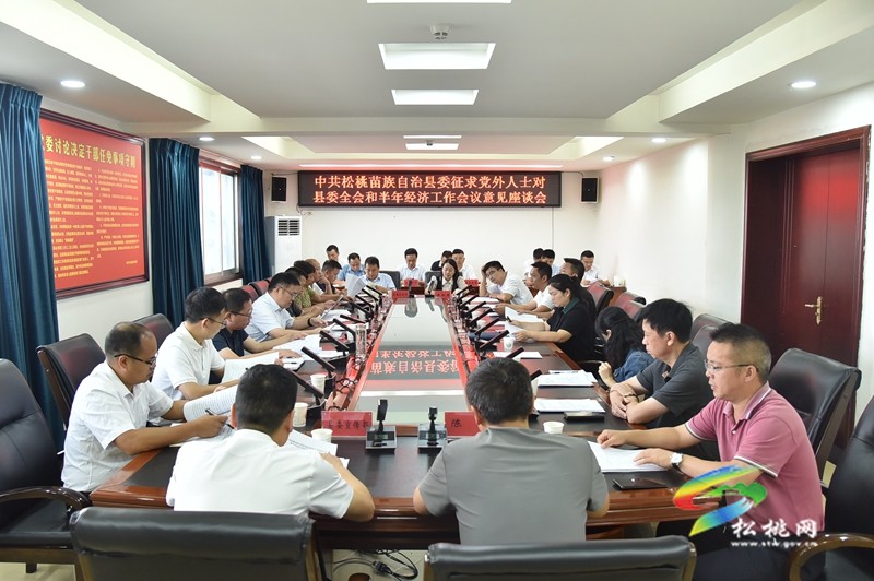 縣委全會和半年經(jīng)濟(jì)工作會議征求黨外人士意見