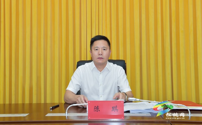 陳琪主持召開縣委全面深化改革委員會第七次會議